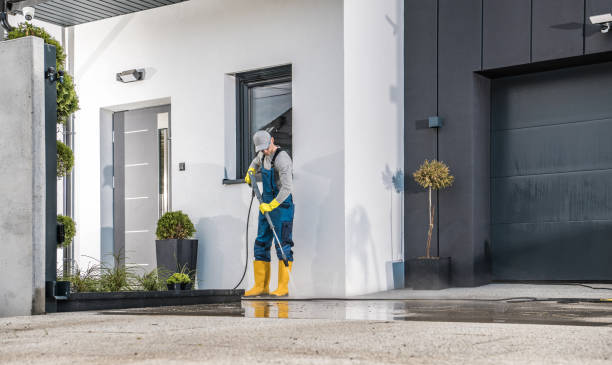 Best House Exterior Washing  in Montour Falls, NY